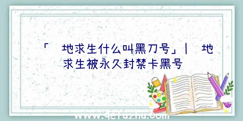 「绝地求生什么叫黑刀号」|绝地求生被永久封禁卡黑号